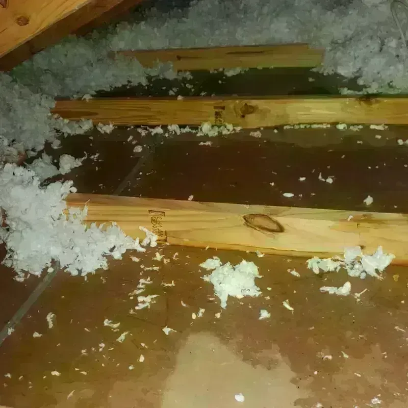 Attic Water Damage in Findlay, OH