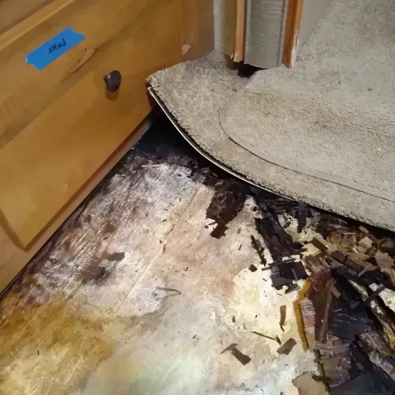 Wood Floor Water Damage in Findlay, OH